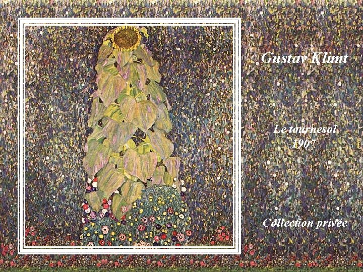 Gustav Klimt Le tournesol 1907 1906 Collection privée 