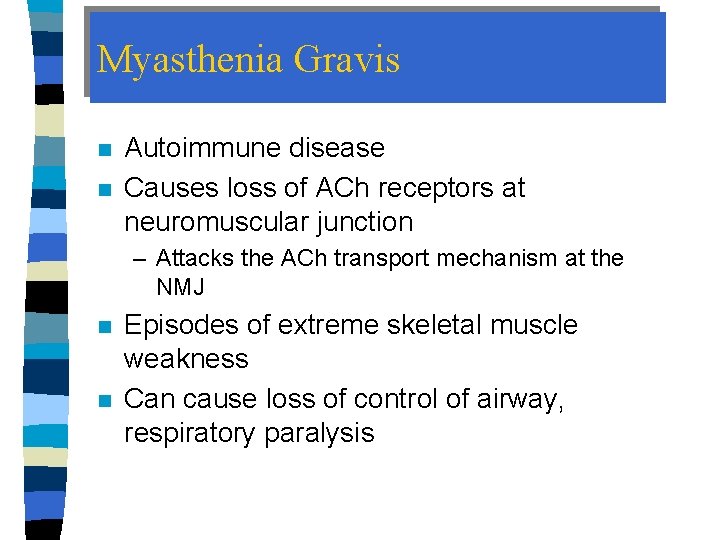 Myasthenia Gravis n n Autoimmune disease Causes loss of ACh receptors at neuromuscular junction