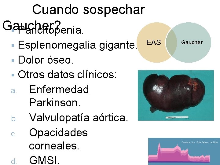 Cuando sospechar Gaucher? § Pancitopenia. Esplenomegalia gigante. § Dolor óseo. § Otros datos clínicos: