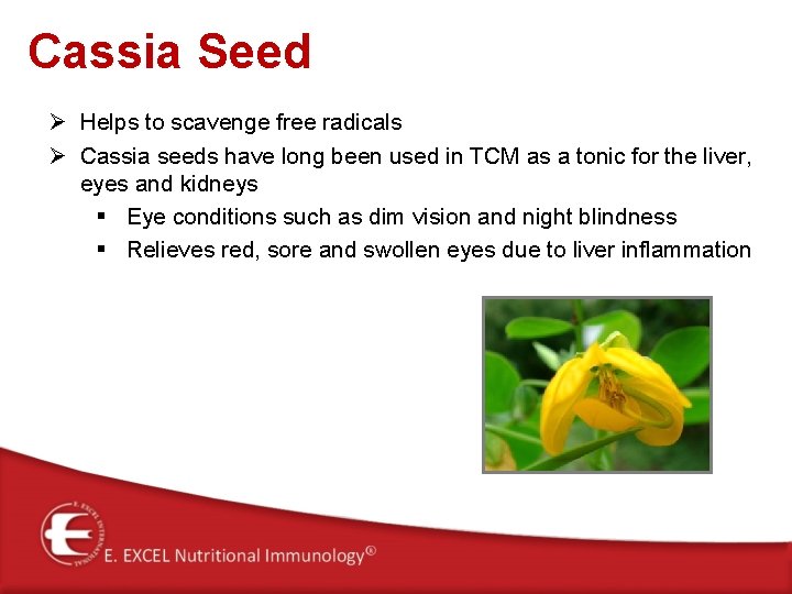 Cassia Seed Ø Helps to scavenge free radicals Ø Cassia seeds have long been