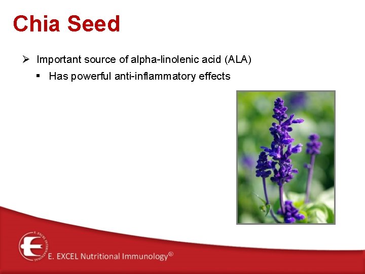 Chia Seed Ø Important source of alpha-linolenic acid (ALA) § Has powerful anti-inflammatory effects