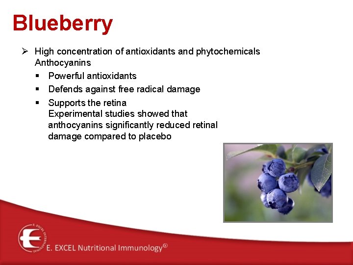 Blueberry Ø High concentration of antioxidants and phytochemicals Anthocyanins § Powerful antioxidants § Defends