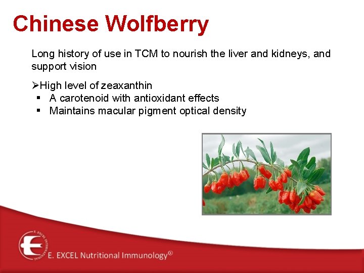 Chinese Wolfberry Long history of use in TCM to nourish the liver and kidneys,