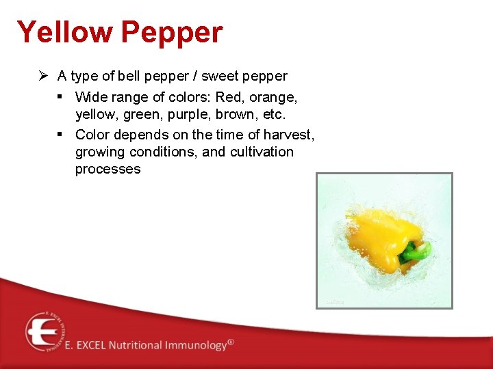 Yellow Pepper Ø A type of bell pepper / sweet pepper § Wide range