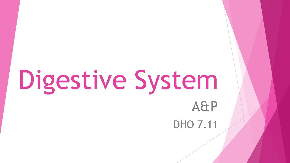 Digestive System A&P DHO 7. 11 