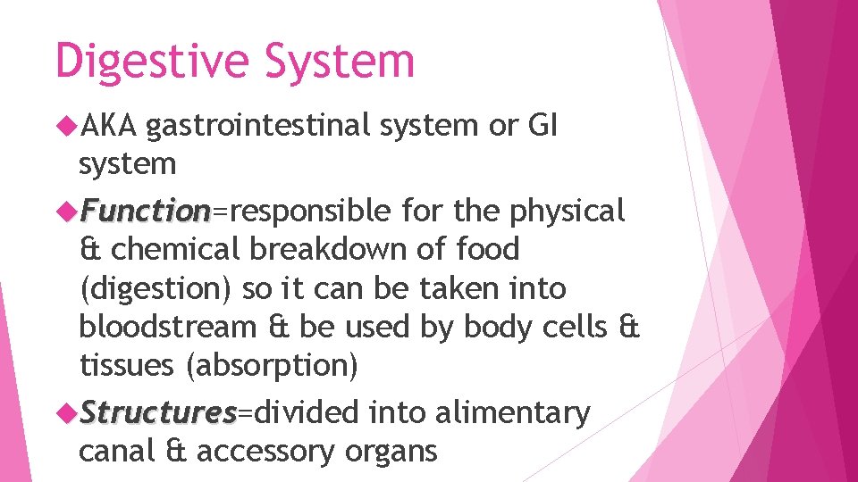 Digestive System AKA gastrointestinal system or GI system Function=responsible for the physical Function &