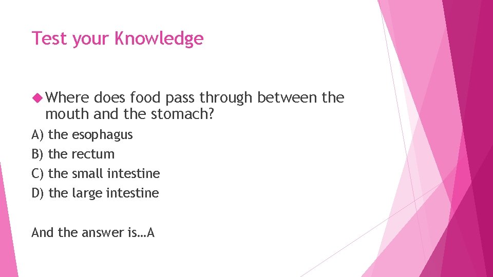 Test your Knowledge Where does food pass through between the mouth and the stomach?