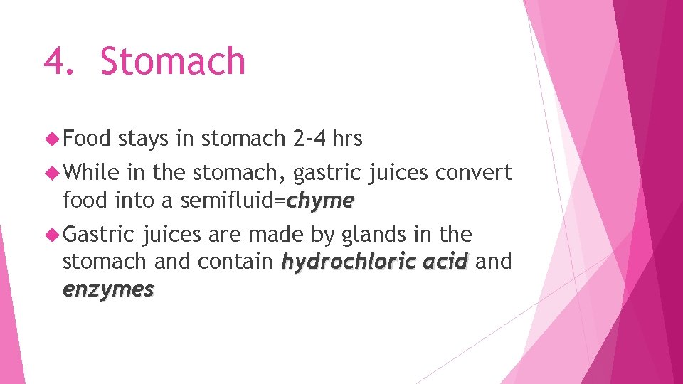 4. Stomach Food stays in stomach 2 -4 hrs While in the stomach, gastric