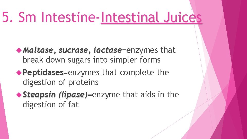 5. Sm Intestine-Intestinal Juices Maltase, sucrase, lactase=enzymes that lactase break down sugars into simpler