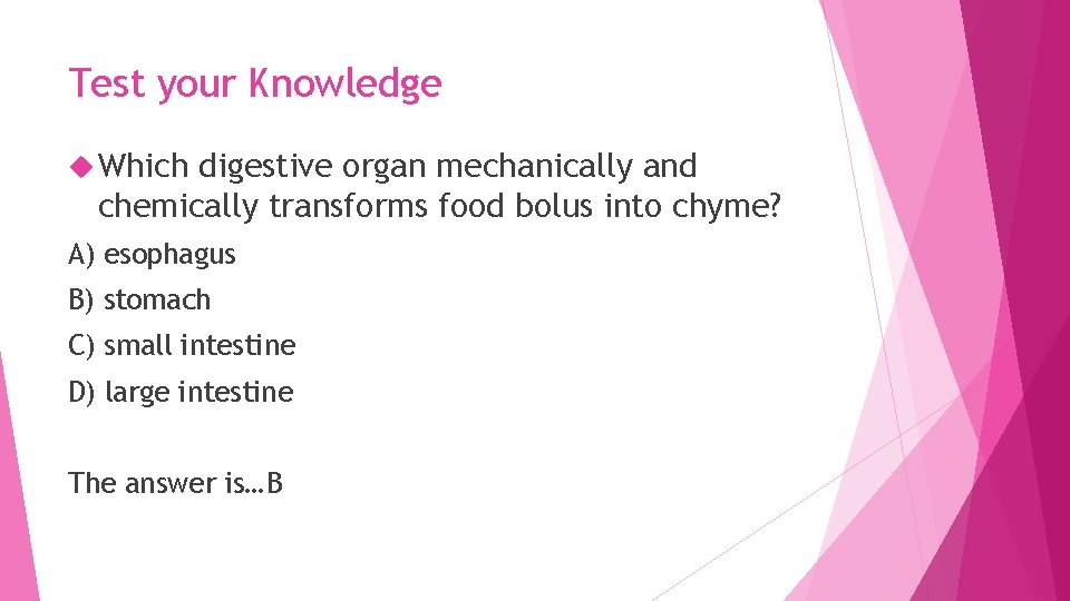 Test your Knowledge Which digestive organ mechanically and chemically transforms food bolus into chyme?
