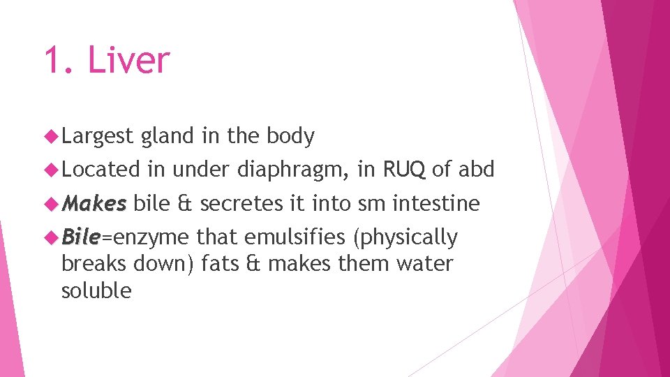 1. Liver Largest Located Makes gland in the body in under diaphragm, in RUQ
