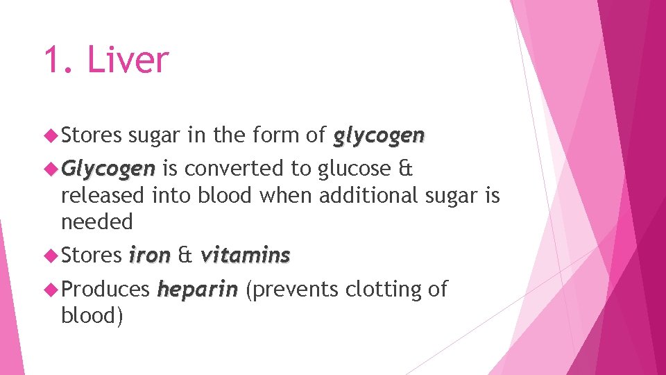 1. Liver Stores sugar in the form of glycogen Glycogen is converted to glucose