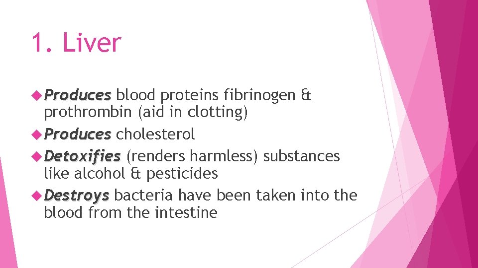 1. Liver Produces blood proteins fibrinogen & prothrombin (aid in clotting) Produces cholesterol Detoxifies