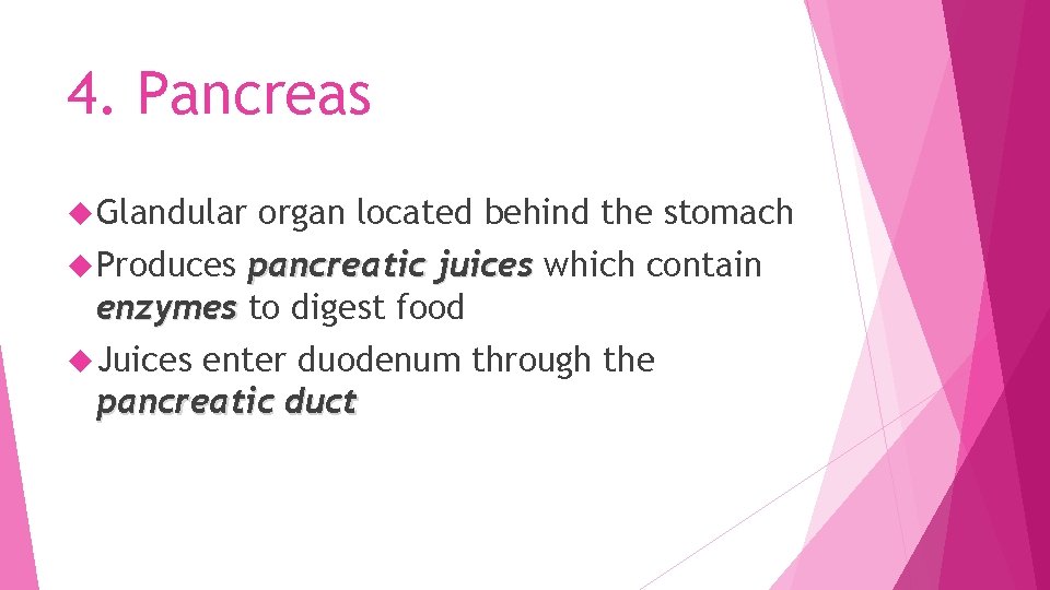 4. Pancreas Glandular organ located behind the stomach Produces pancreatic juices which contain enzymes