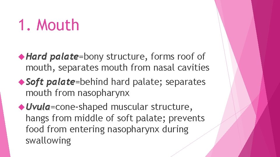 1. Mouth Hard palate=bony structure, forms roof of palate mouth, separates mouth from nasal