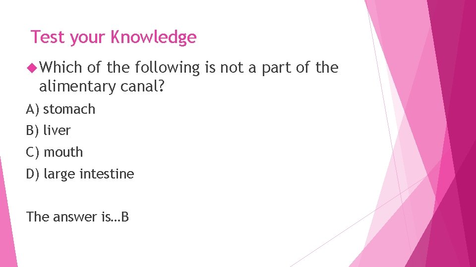 Test your Knowledge Which of the following is not a part of the alimentary