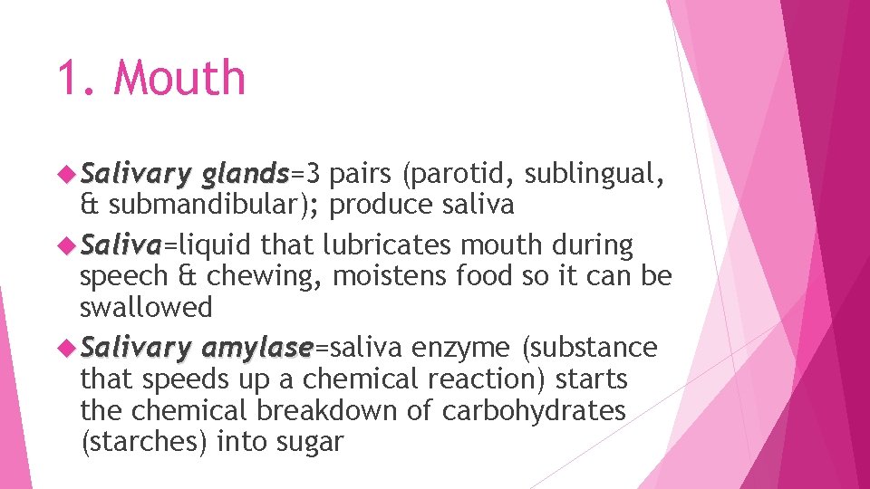 1. Mouth Salivary glands=3 glands pairs (parotid, sublingual, & submandibular); produce saliva Saliva=liquid that