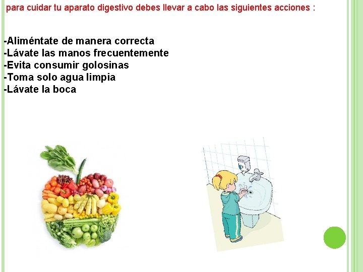 para cuidar tu aparato digestivo debes llevar a cabo las siguientes acciones : -Aliméntate