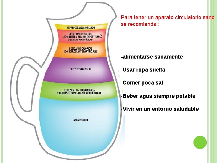 Para tener un aparato circulatorio sano se recomienda : -alimentarse sanamente -Usar ropa suelta