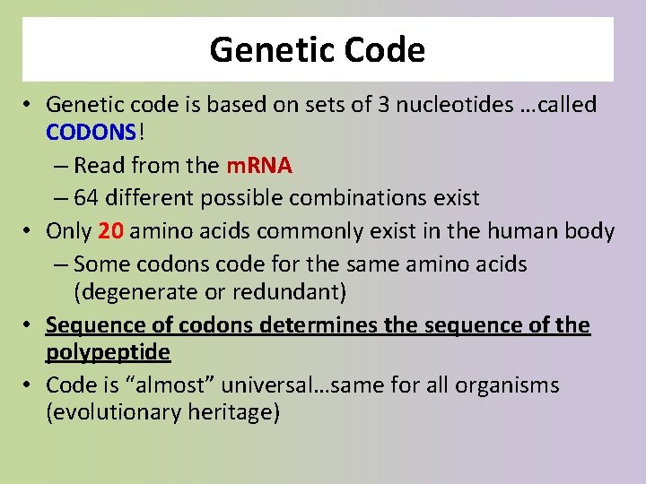 Genetic Code • Genetic code is based on sets of 3 nucleotides …called CODONS!