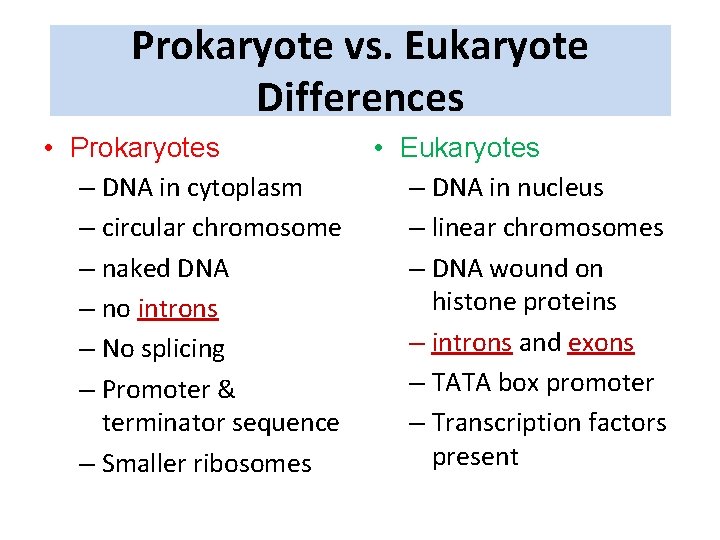 Prokaryote vs. Eukaryote Differences • Prokaryotes – DNA in cytoplasm – circular chromosome –