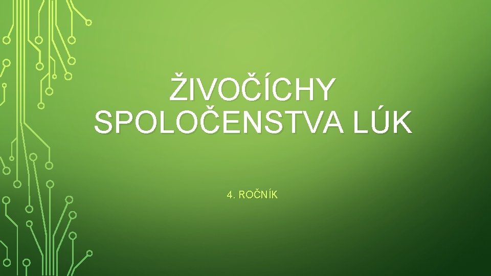 ŽIVOČÍCHY SPOLOČENSTVA LÚK 4. ROČNÍK 