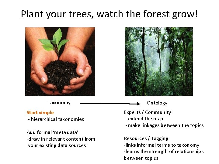 Plant your trees, watch the forest grow! Taxonomy Start simple - hierarchical taxonomies Add