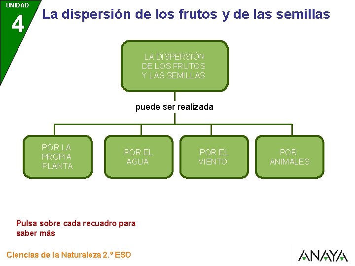 UNIDAD 4 La dispersión de los frutos y de las semillas LA DISPERSIÓN DE