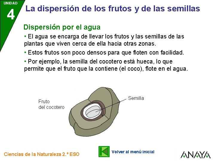 UNIDAD 4 La dispersión de los frutos y de las semillas Dispersión por el