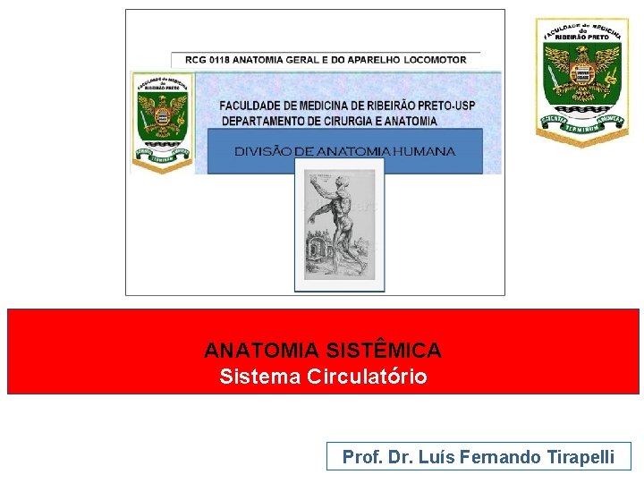 ANATOMIA SISTÊMICA Sistema Circulatório Prof. Dr. Luís Fernando Tirapelli 