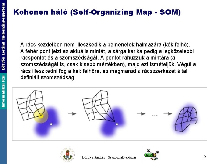Eötvös Loránd Tudományegyetem Informatikai Kar Kohonen háló (Self-Organizing Map - SOM) A rács kezdetben
