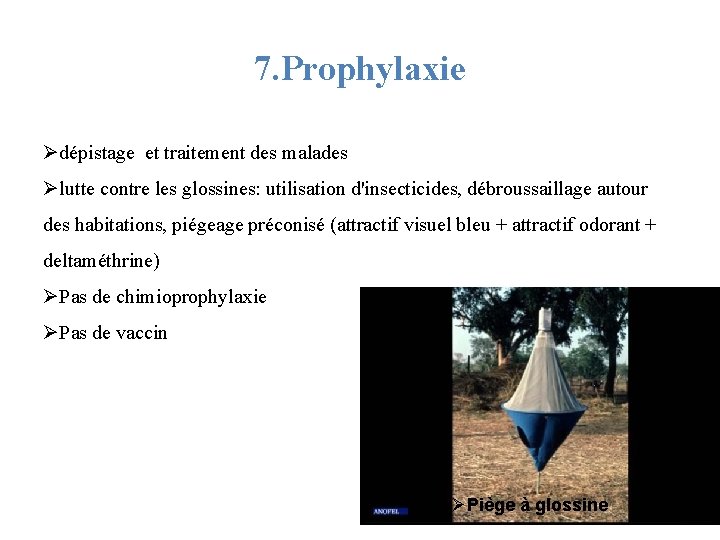 7. Prophylaxie Ødépistage et traitement des malades Ølutte contre les glossines: utilisation d'insecticides, débroussaillage
