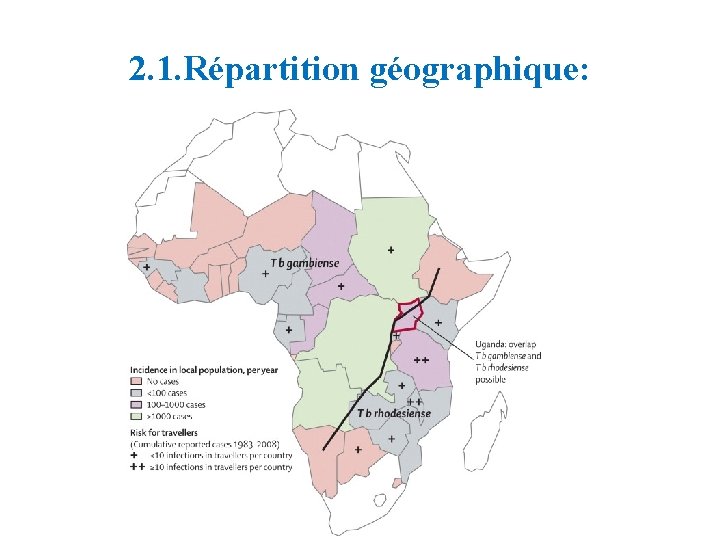 2. 1. Répartition géographique: 