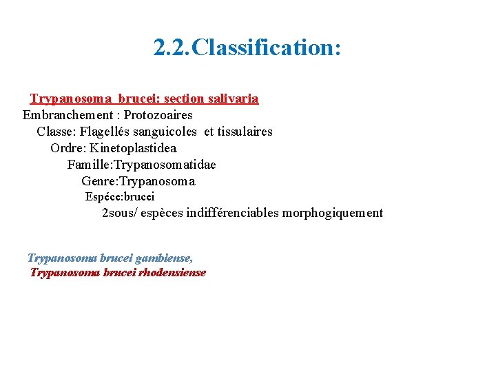 2. 2. Classification: Trypanosoma brucei: section salivaria Embranchement : Protozoaires Classe: Flagellés sanguicoles et