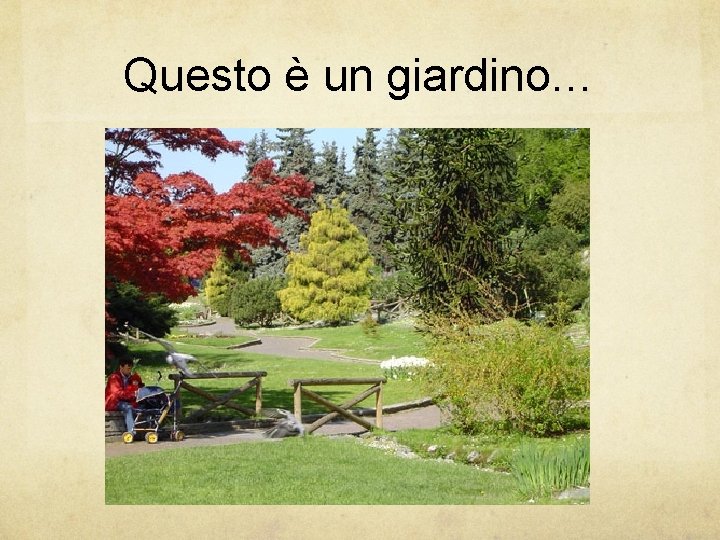 Questo è un giardino… 