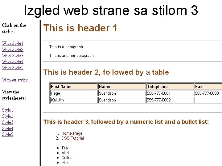 Izgled web strane sa stilom 3 