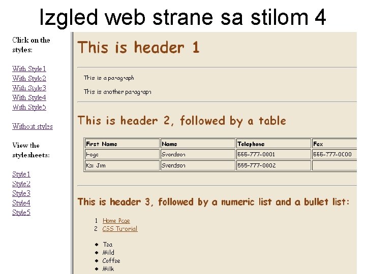 Izgled web strane sa stilom 4 