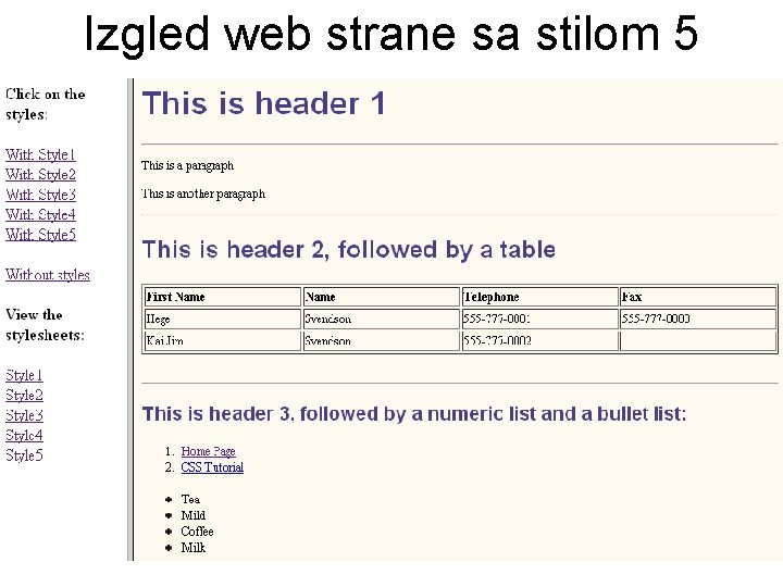 Izgled web strane sa stilom 5 