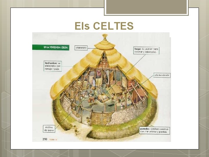 Els CELTES 