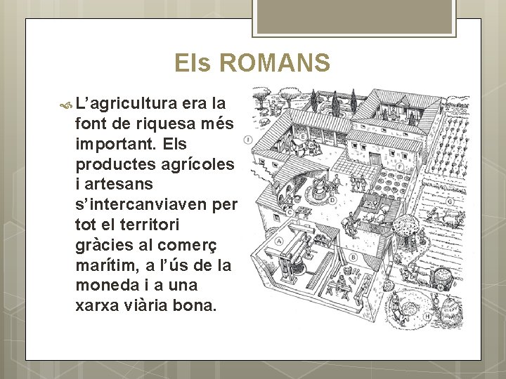 Els ROMANS L’agricultura era la font de riquesa més important. Els productes agrícoles i