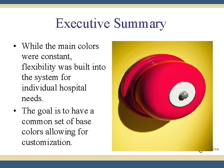 Executive Summary • While the main colors were constant, flexibility was built into the