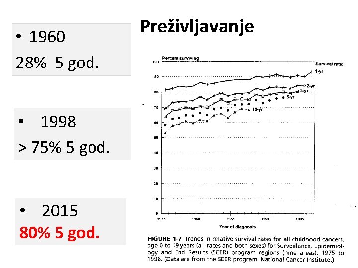  • 1960 28% 5 god. • 1998 > 75% 5 god. • 2015