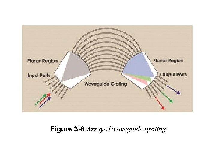 Figure 3 -8 Arrayed waveguide grating 