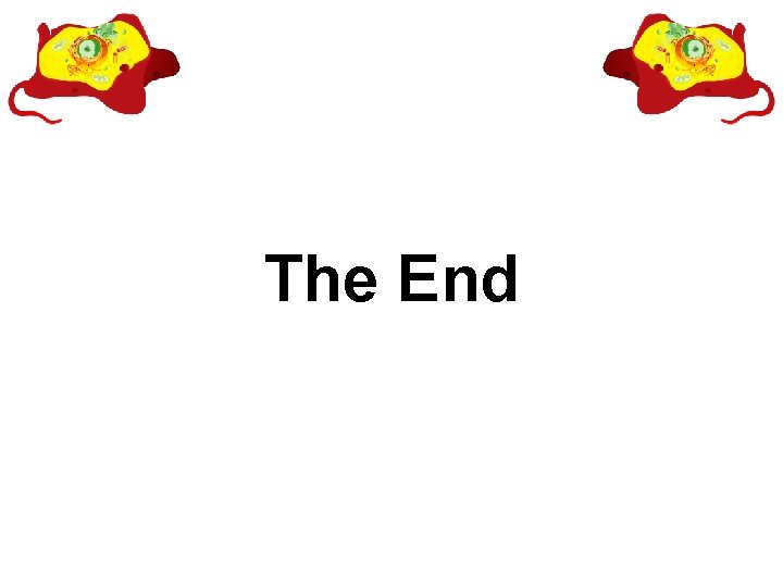 The End 