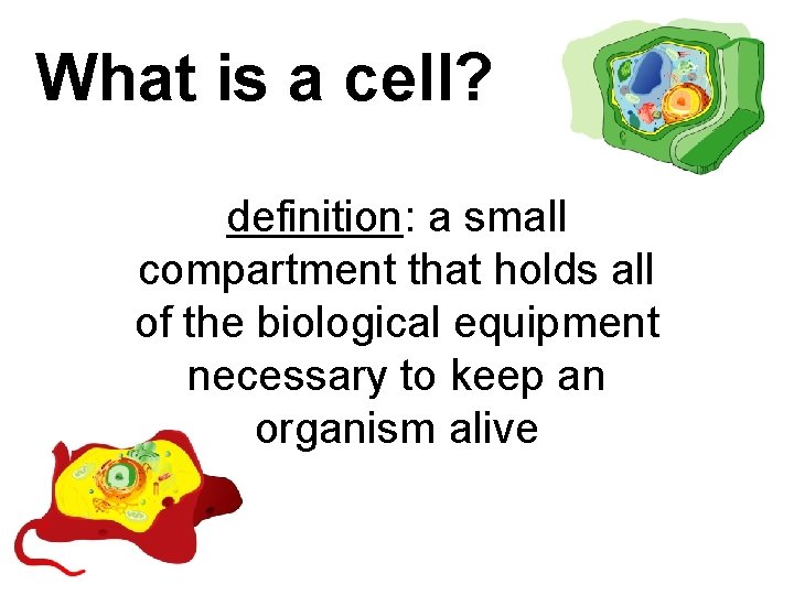 What is a cell? definition: a small compartment that holds all of the biological