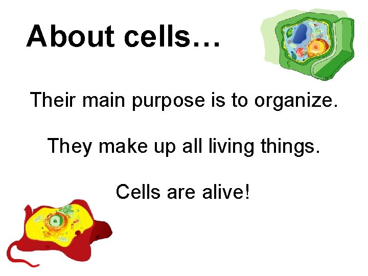 About cells… Their main purpose is to organize. They make up all living things.