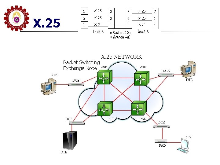 X. 25 Packet Switching Exchange Node 