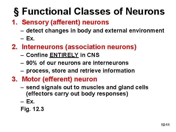 § Functional Classes of Neurons 1. Sensory (afferent) neurons – detect changes in body