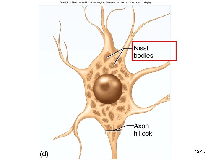 Figure 12. 4 d 12 -15 
