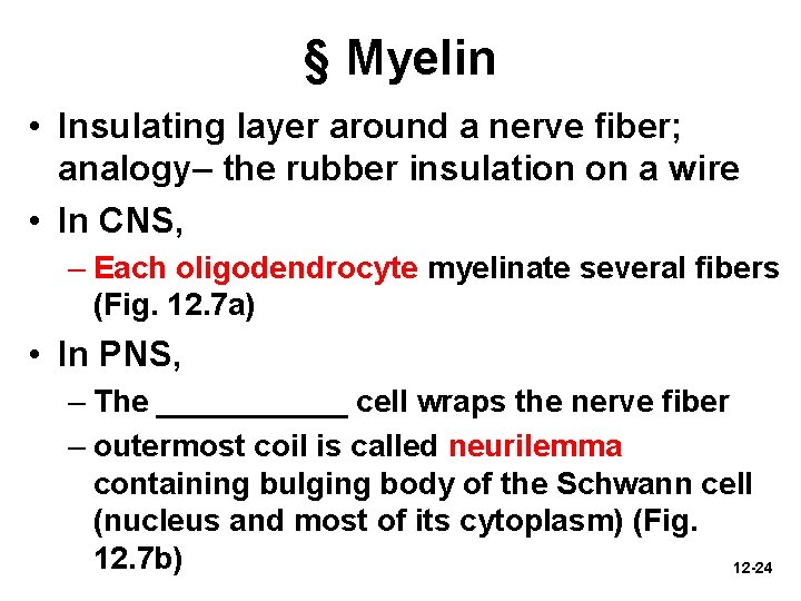 § Myelin • Insulating layer around a nerve fiber; analogy– the rubber insulation on